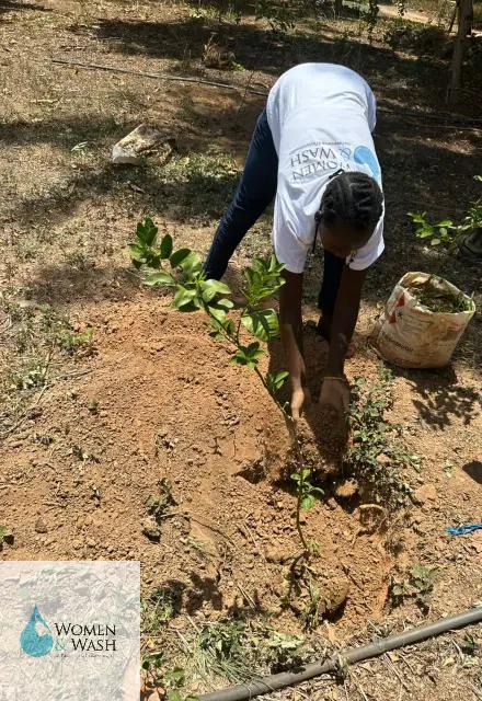Photo de plantation darbres fruitiers par une volontaire de women and wash4