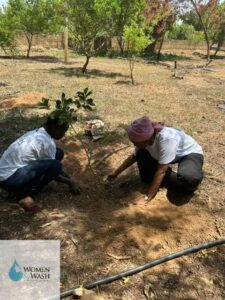 Photo de plantation darbres fruitiers par une volontaire de women and wash8